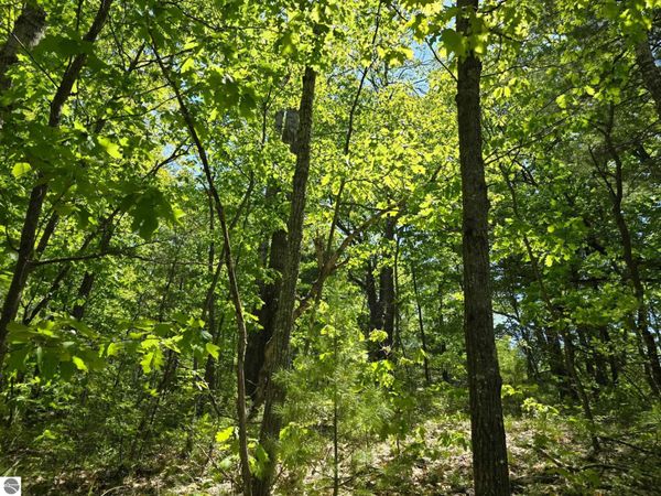 E Long Lake Road, Cadillac, MI 49601