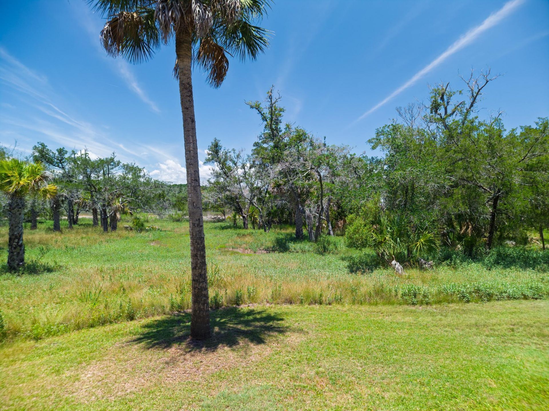 941 Hammocks Way Photo 6