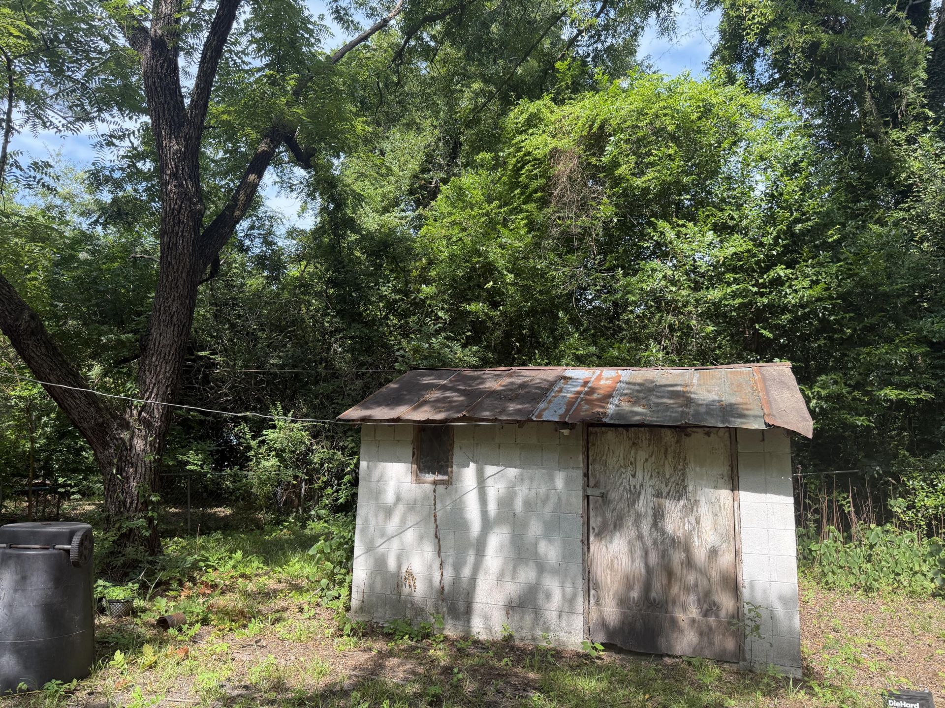 107 Lockhart Street Photo 10