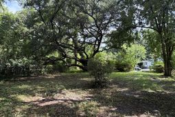 107 Lockhart Street photo 4