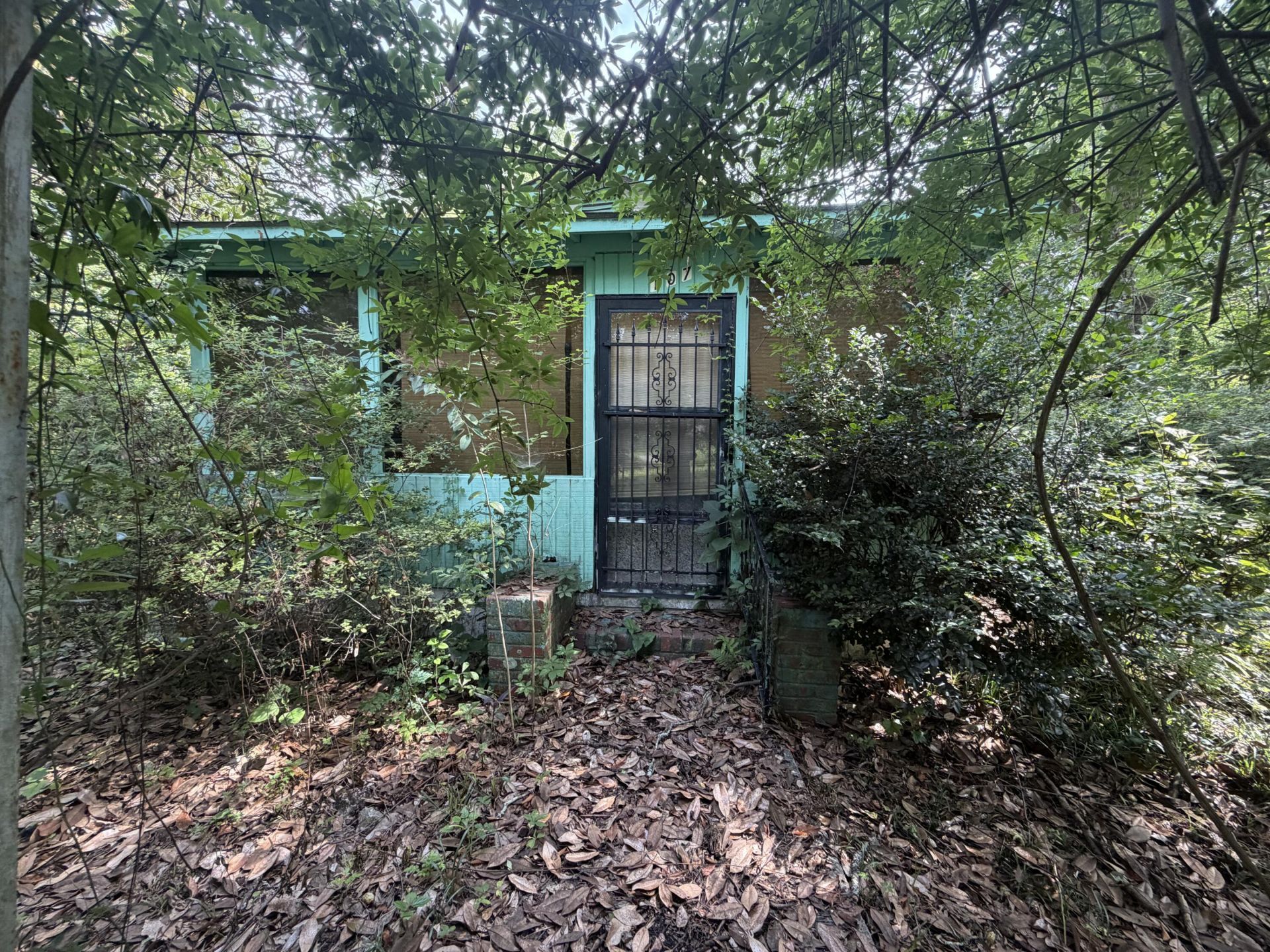 107 Lockhart Street Photo 7
