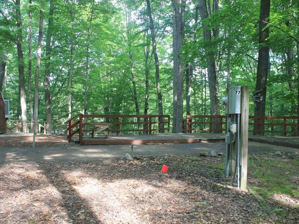 6390 S Outer Loop Drive, Unit 99, Custer, MI 49405