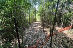 2017 Paul Chavis Lane photo 4