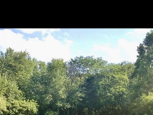 1206 Tallwood Court , Varna, IL 61375