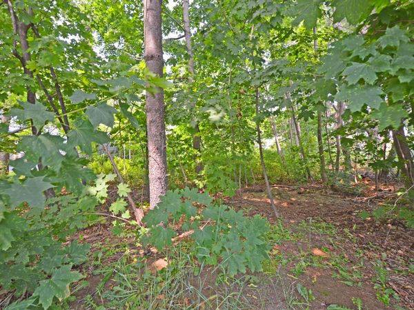 12 Lamothe Avenue , Biddeford, ME 04005