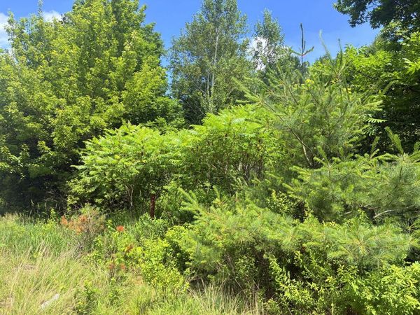 Lot 29 Auburn Road , Peru, ME 04290