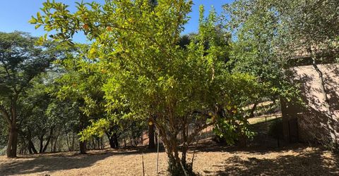 2418 Westville Trl, Cool, CA 95614 Photo