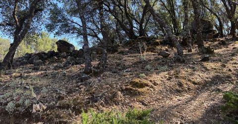 2418 Westville Trl, Cool, CA 95614 Photo