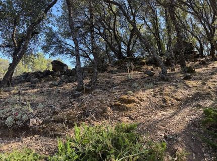 2418 Westville Trl, Cool, CA 95614 Photo
