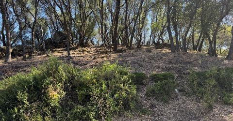 2418 Westville Trl, Cool, CA 95614 Photo