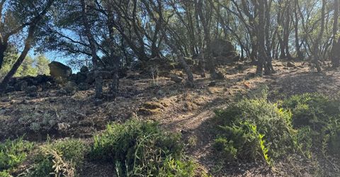 2418 Westville Trl, Cool, CA 95614 Photo