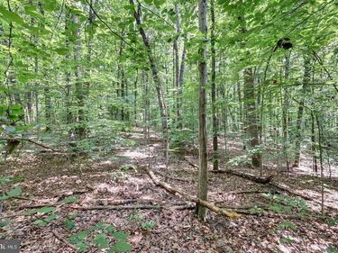 7823 WILLOWBROOK , FAIRFAX STATION, VA 22039