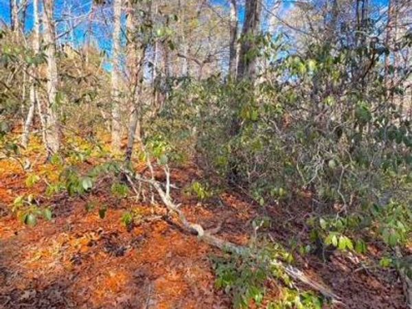 00 Horse Cove Court, Jasper, GA 30143