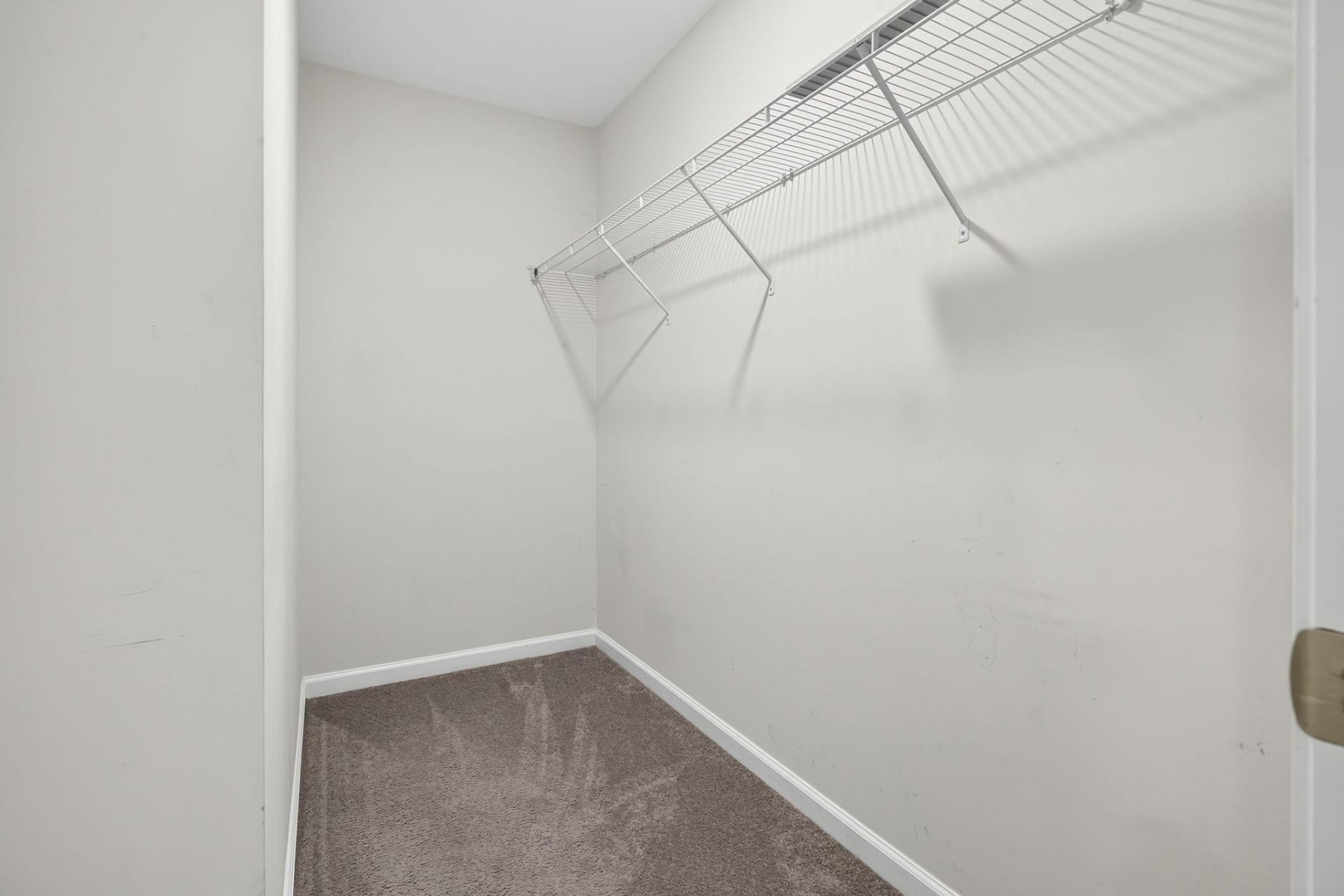 408 Sage Cedar Place Photo 22