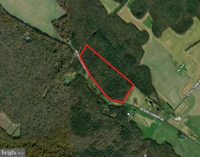 PETERS CORNER ROAD , SUDLERSVILLE, MD 21668