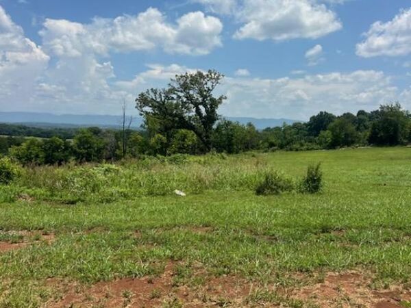 5087 Gregory Rd, Greenback, TN 37742