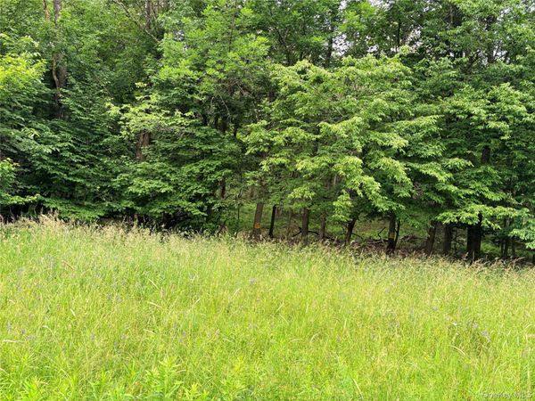T R 84 , Fremont Center, NY 12736