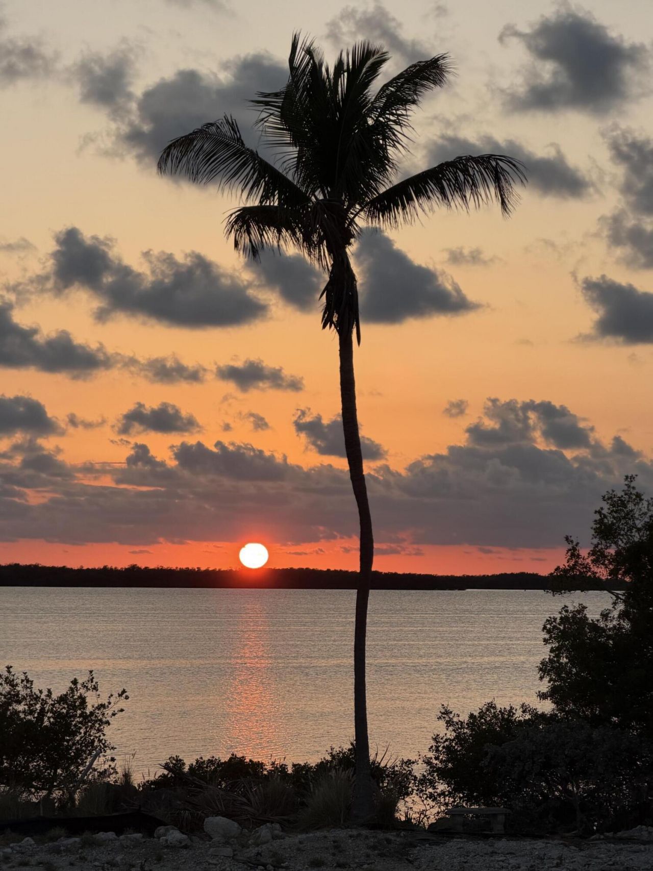 239 Plantation Avenue, Tavernier, FL 33070 Photo