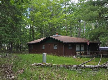 4233 N Pheasant Road, Alcona Township, Mi 48742