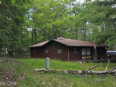 4233 N Pheasant Road, Alcona Twp, MI 48742