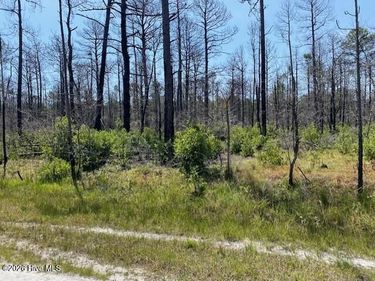 799 Jasmine Road, Boiling Spring Lakes, NC 28461