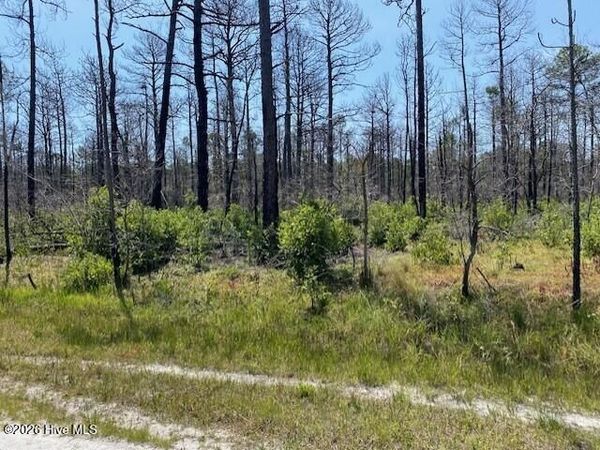 799 Jasmine Road , Boiling Spring Lakes, NC 28461