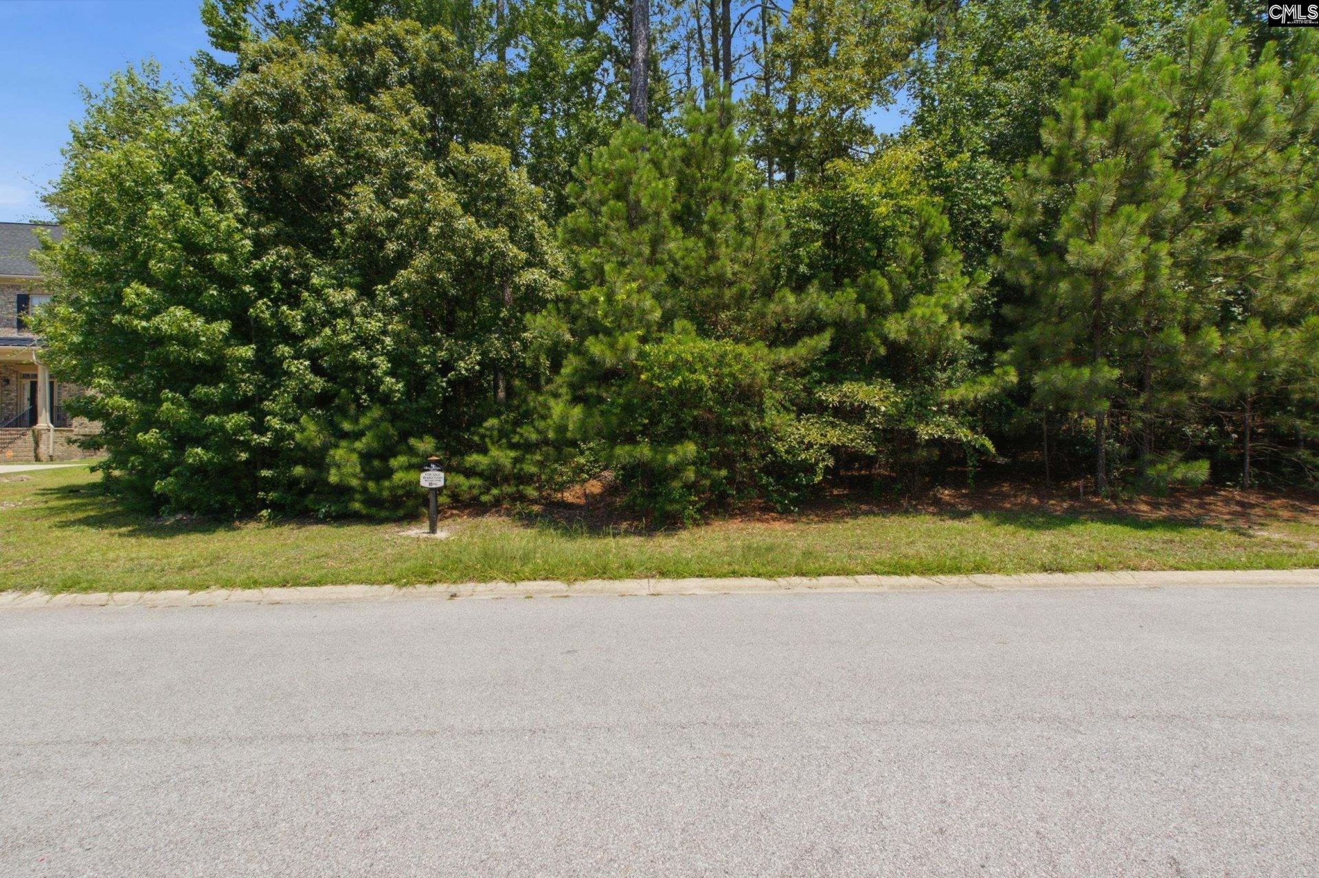 245 Upper Lake Drive  Photo 17