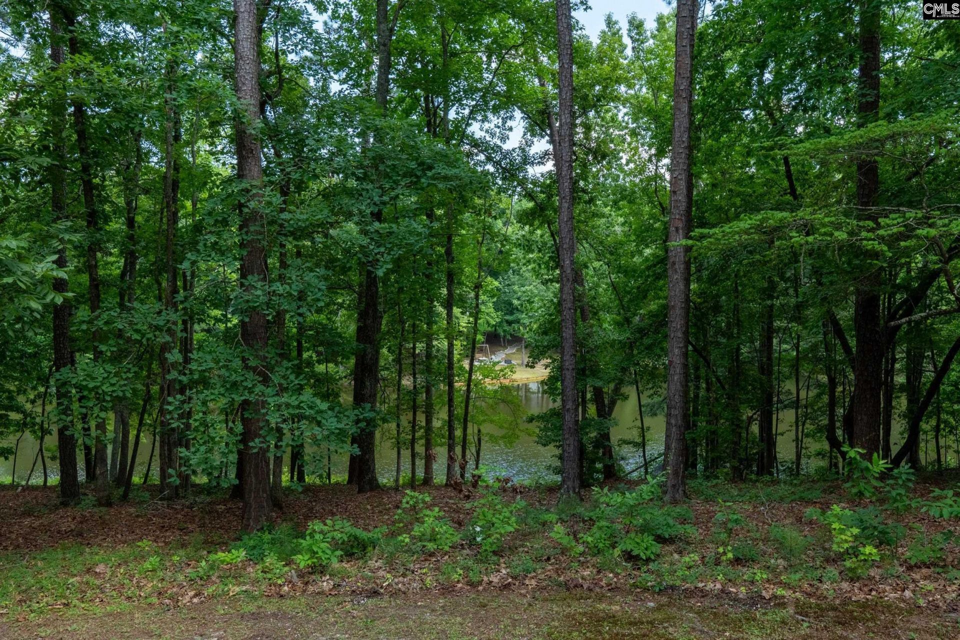 204 Ashley Oaks Drive Photo 12