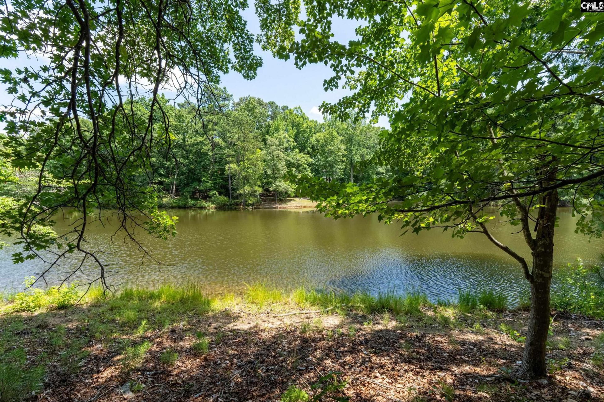 204 Ashley Oaks Drive  Photo 9