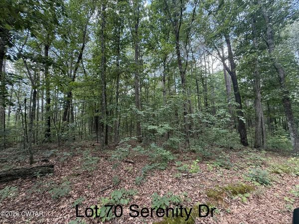 0 McKelvy Road , Camden, TN 38320