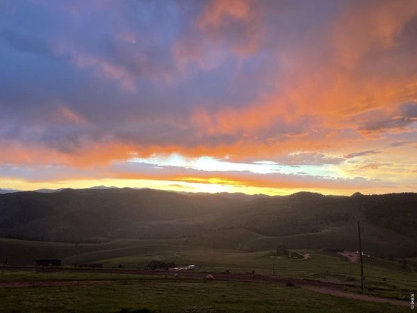 132 Sheep Mountain Ct, Livermore, CO 80536