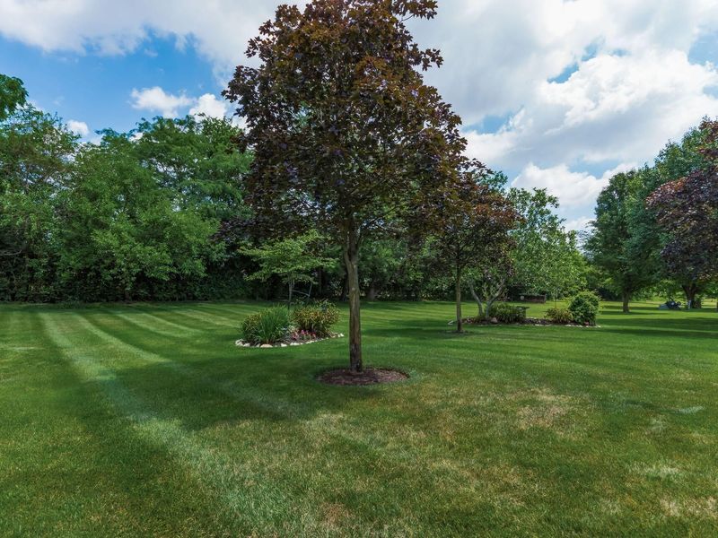 2920 Wynridge Drive, Grove City, OH 43123 Photo 30