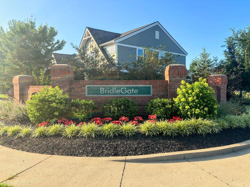 14016 Bridlegate Drive, Union, KY 41091 Photo 46