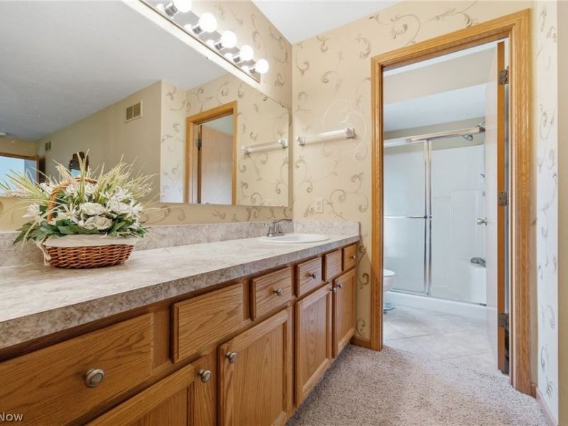 1451 Tripodi Circle, Niles, OH 44446 Photo 17