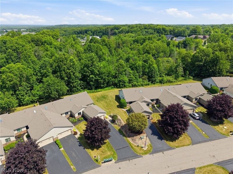 1451 Tripodi Circle, Niles, OH 44446 Photo 36