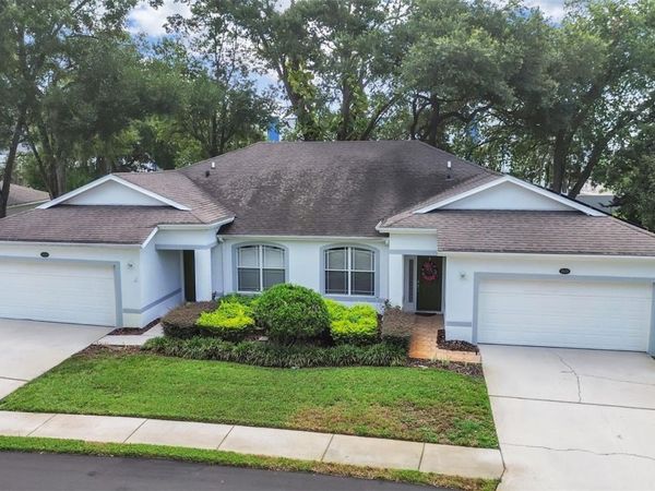 8609 ALEXANDRA ARBOR LANE , TEMPLE TERRACE, FL 33637
