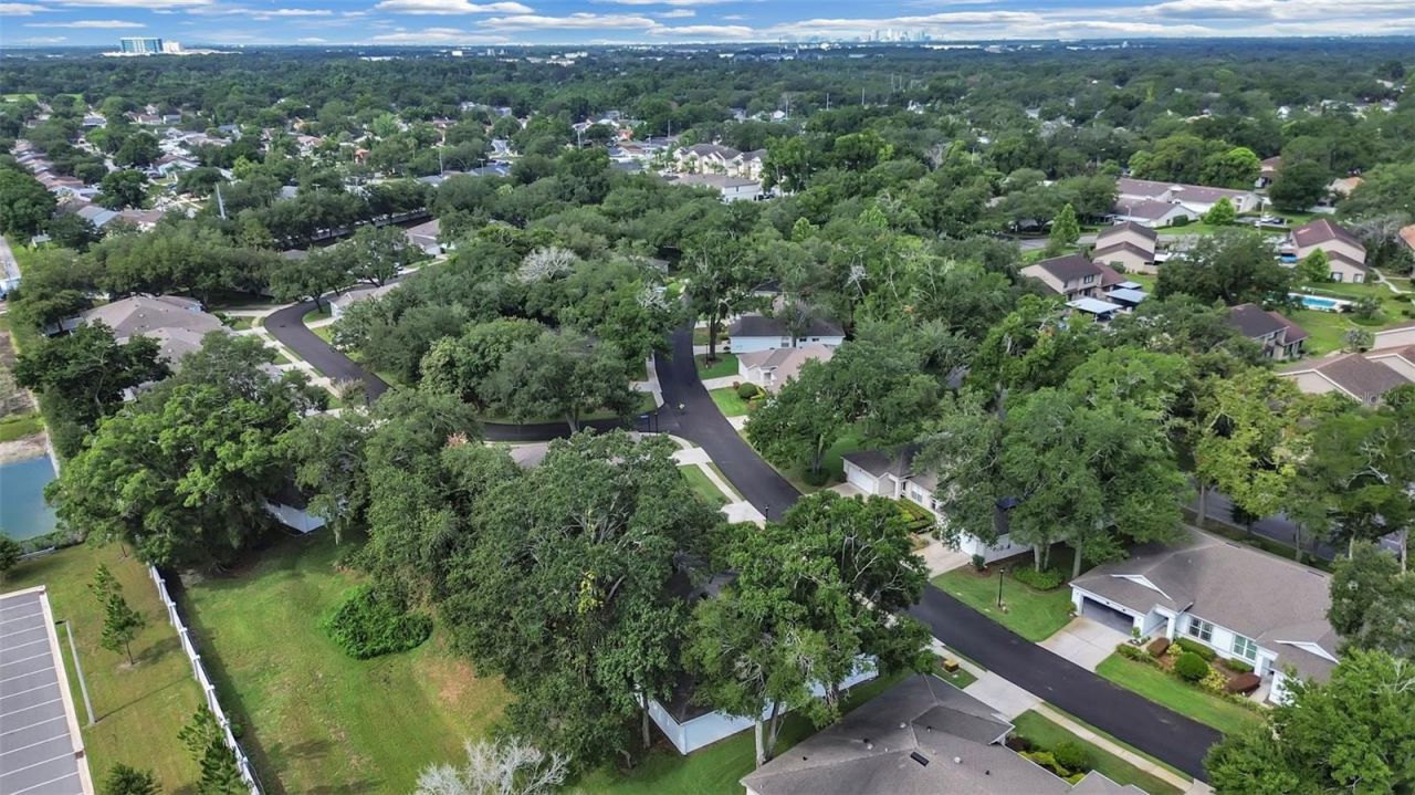 8609 Alexandra Arbor Lane , Temple Terrace, FL 33637 Photo