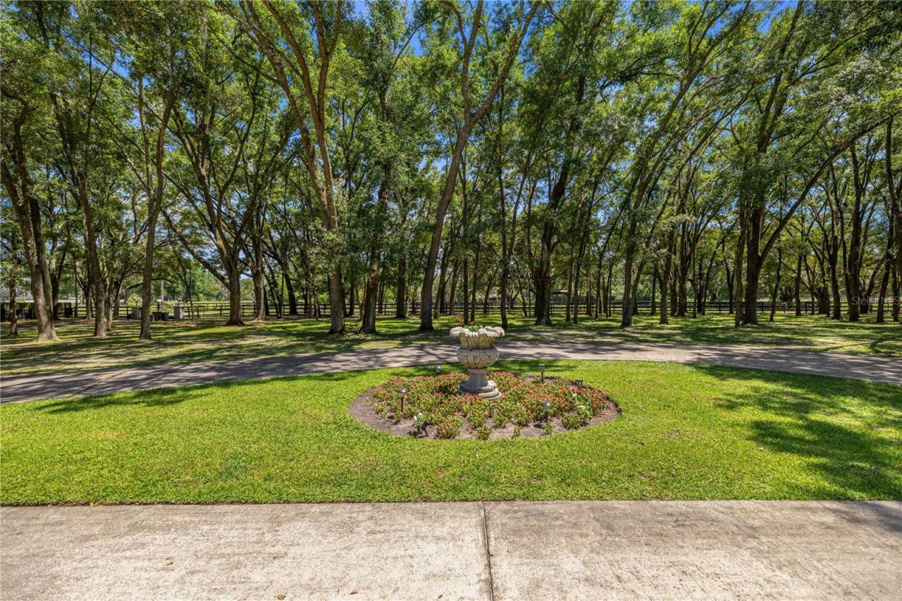 7305 SW 86th Lane , Ocala, FL 34476 Photo