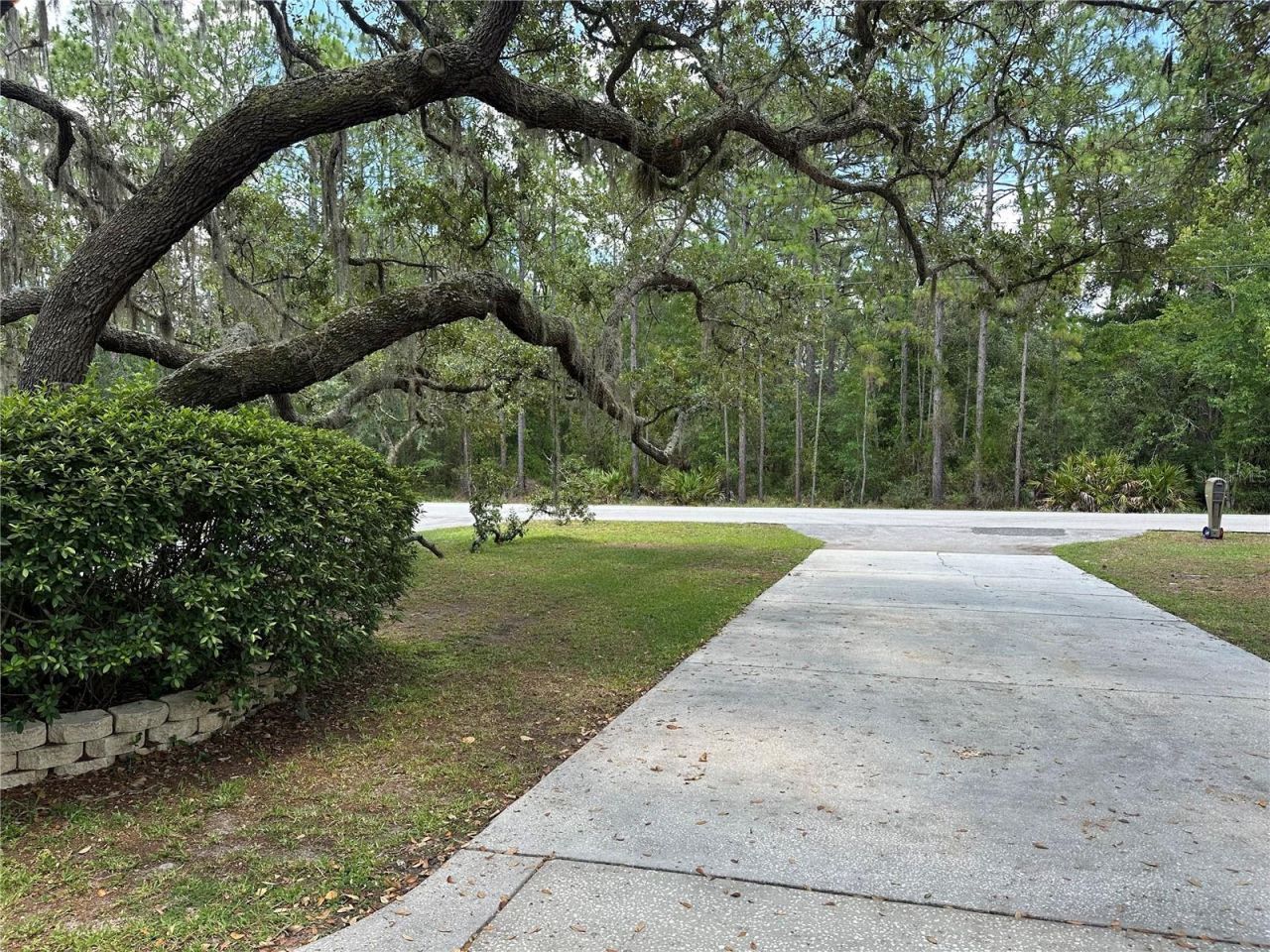 2222 S Bolton Avenue , Homosassa, FL 34448 Photo