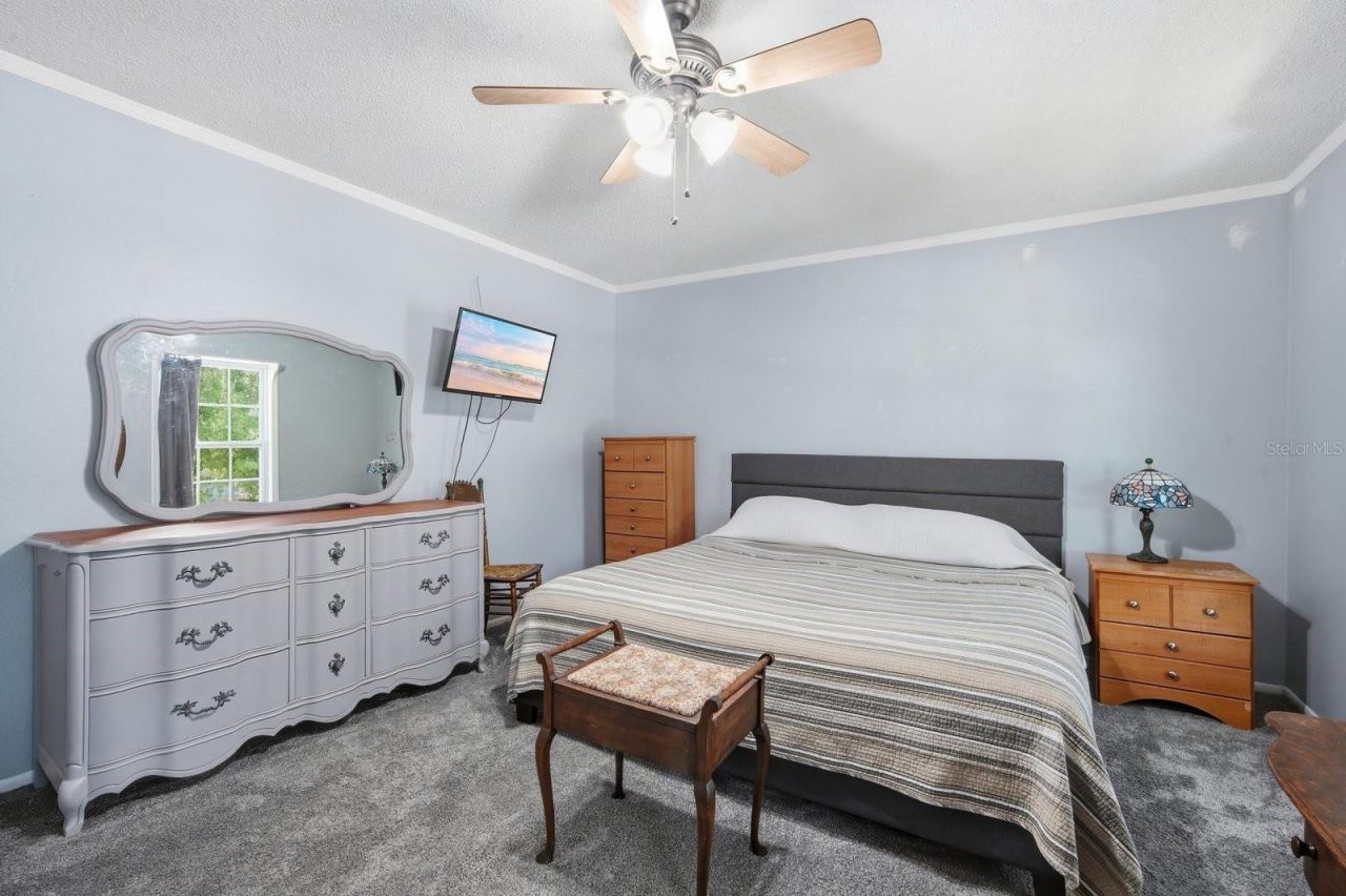 10017 N 52nd Street , Tampa, FL 33617 Photo