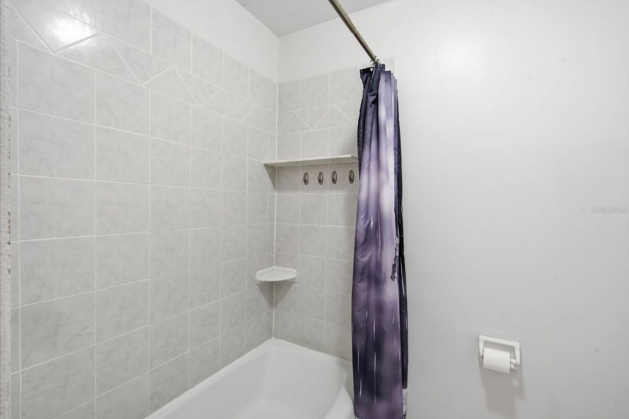 10017 N 52nd Street , Tampa, FL 33617 Photo