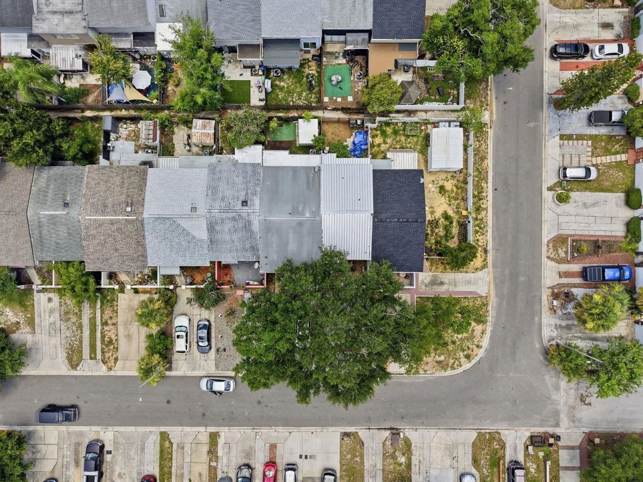 10017 N 52nd Street , Tampa, FL 33617 Photo