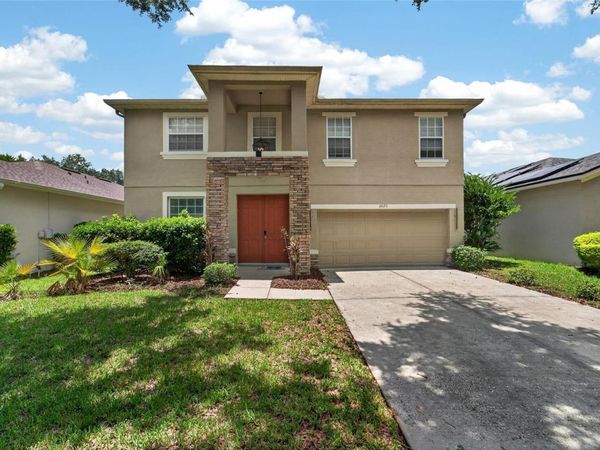 19128 MEADOW PINE DRIVE, TAMPA, FL 33647