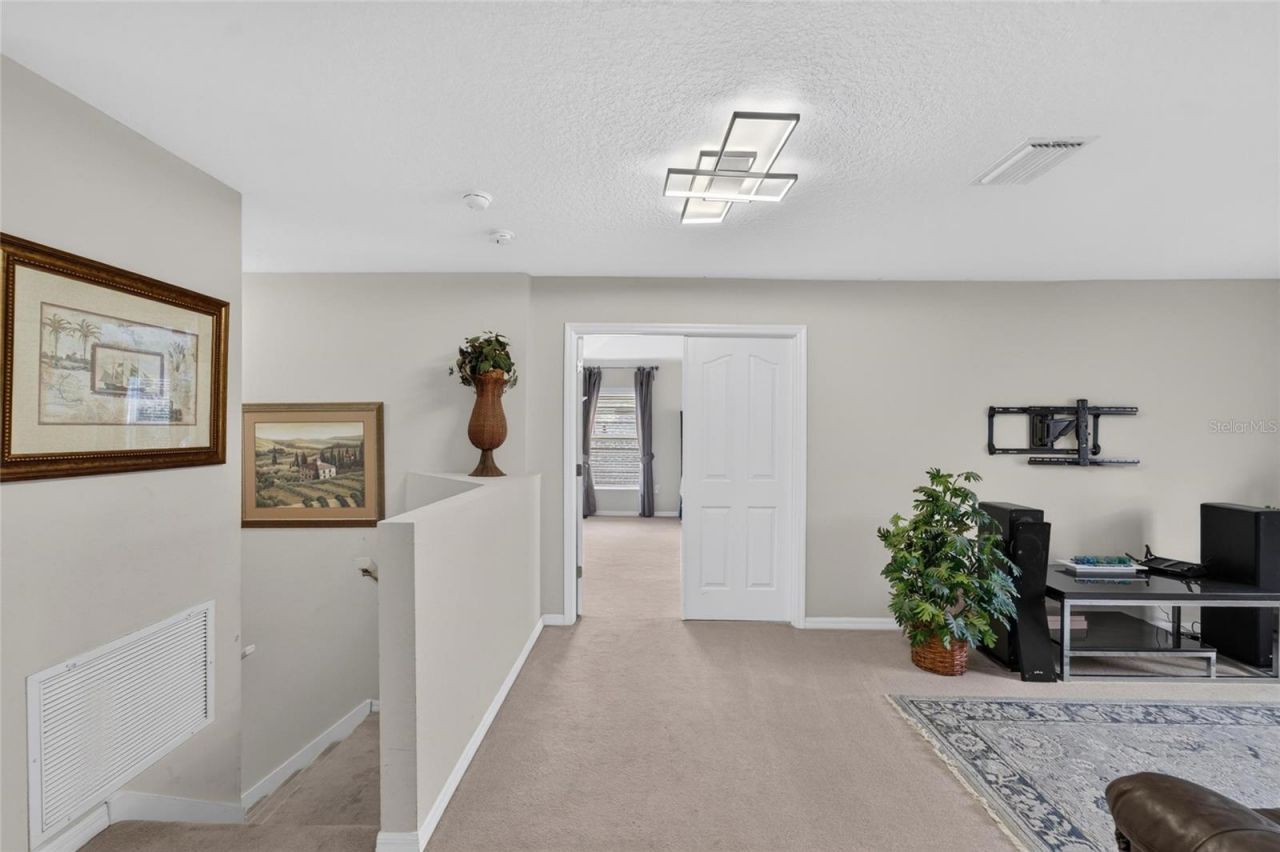 19128 Meadow Pine Drive , Tampa, FL 33647 Photo