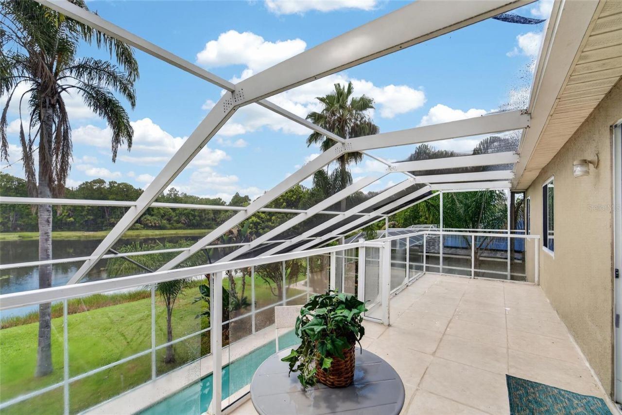 19128 Meadow Pine Drive , Tampa, FL 33647 Photo