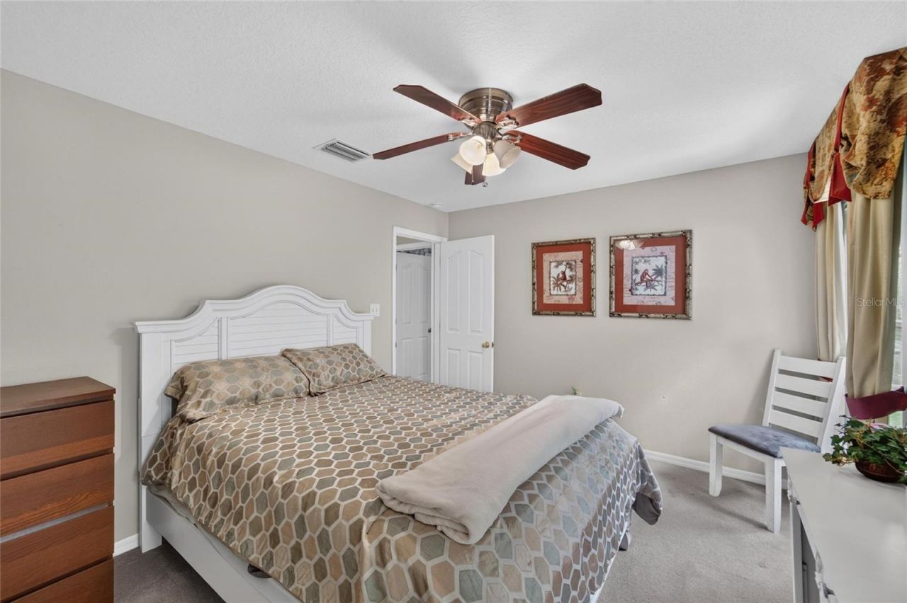19128 Meadow Pine Drive , Tampa, FL 33647 Photo