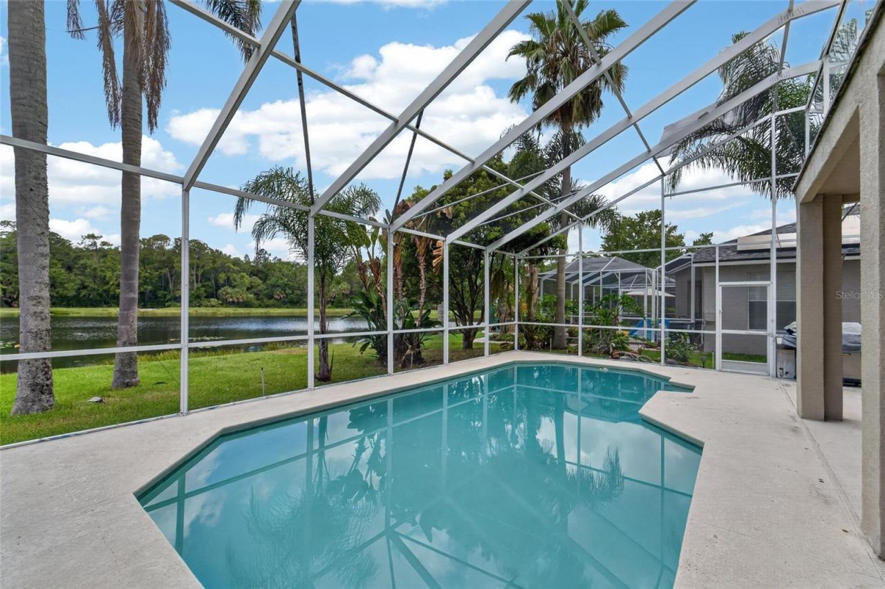 19128 Meadow Pine Drive , Tampa, FL 33647 Photo