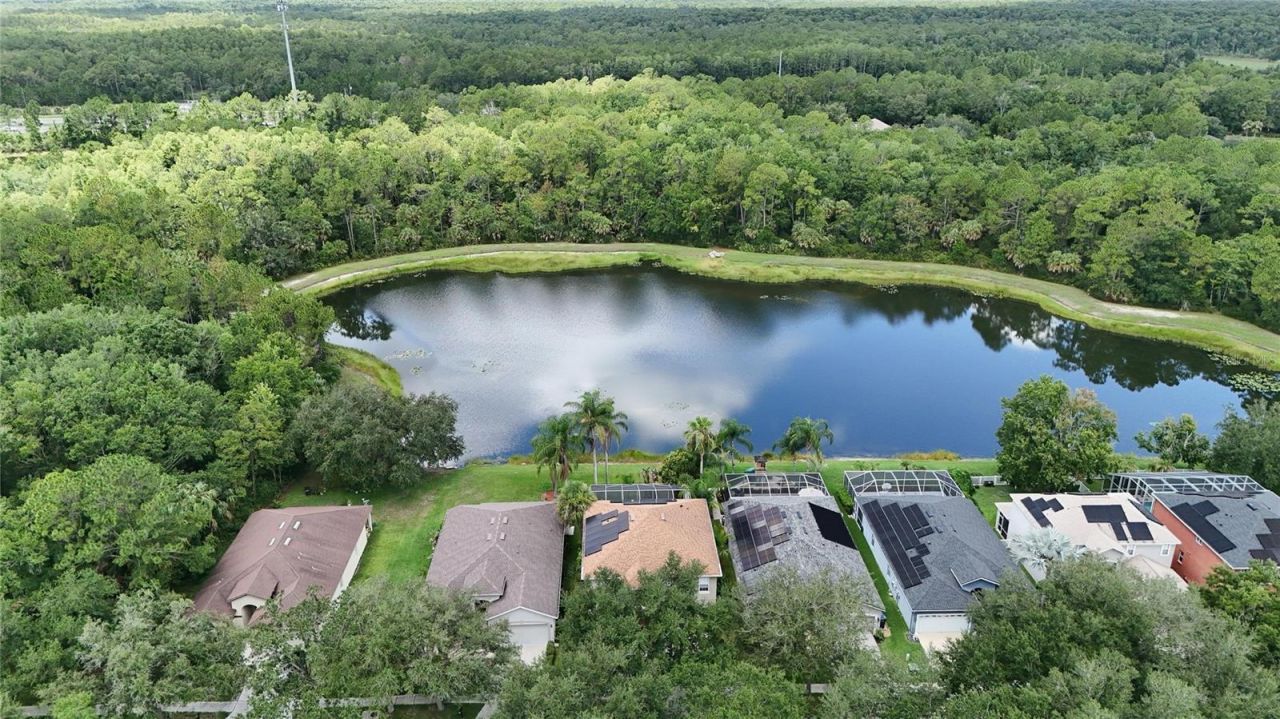 19128 Meadow Pine Drive , Tampa, FL 33647 Photo