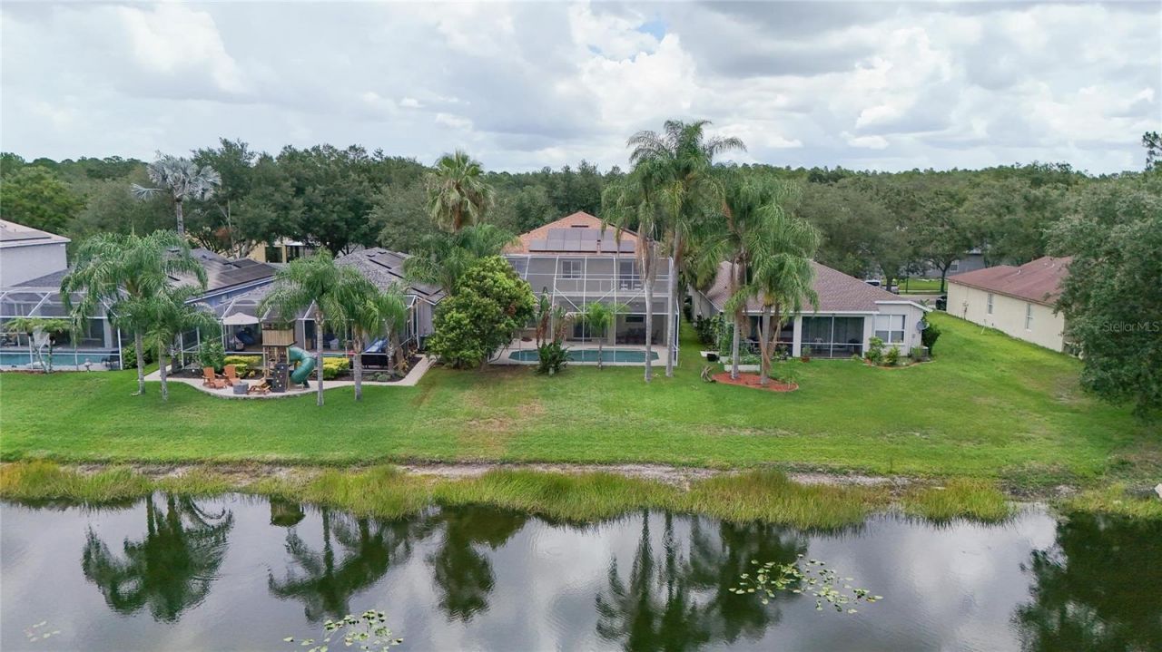 19128 Meadow Pine Drive , Tampa, FL 33647 Photo