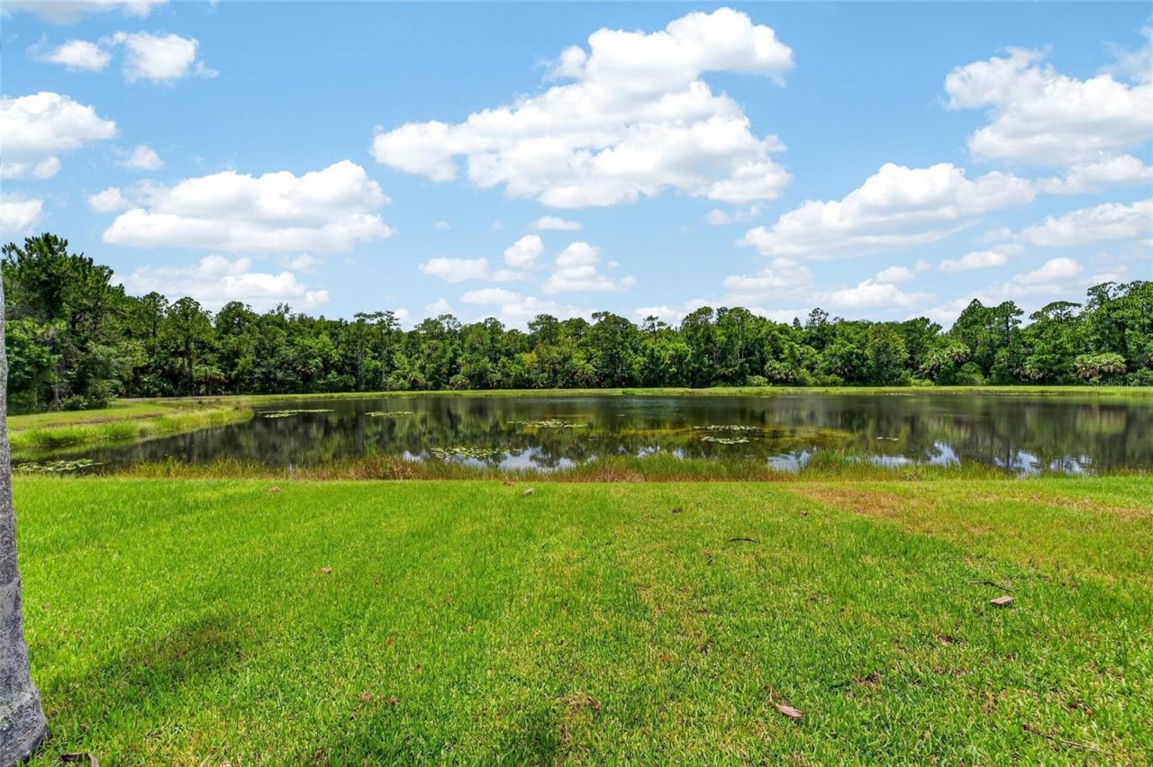 19128 Meadow Pine Drive , Tampa, FL 33647 Photo
